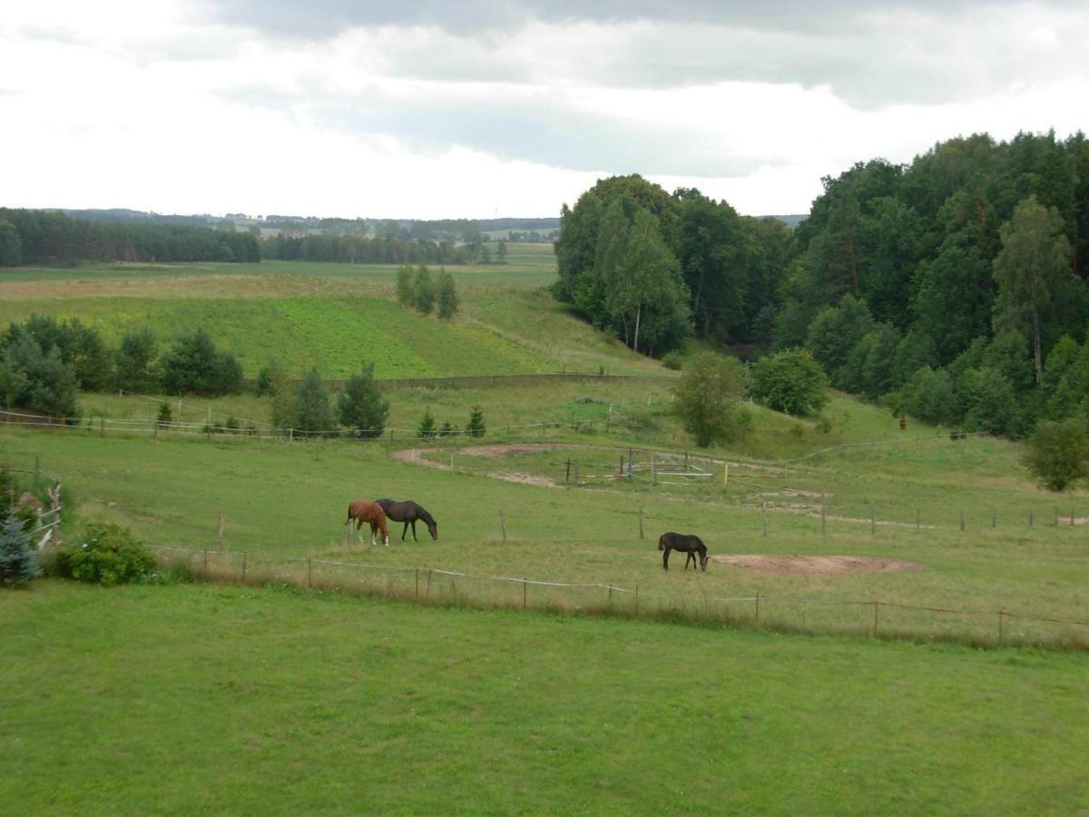 Agroturystyka Owczarnia Villa Kętrzyn Kültér fotó